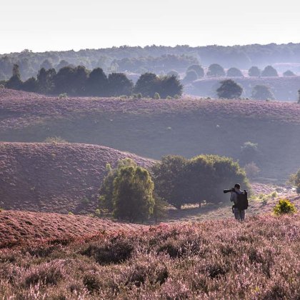Wandelen op de Posbank bij Rheden