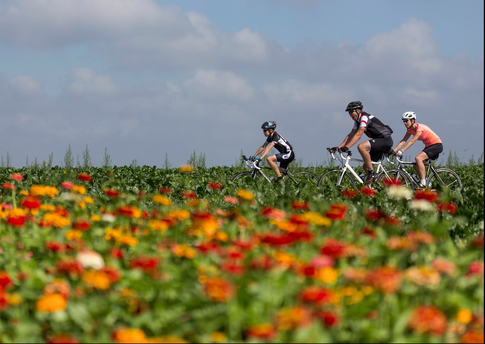 Gezin fietsend op een zomerse zondagmorgen langs een veld met bloemen