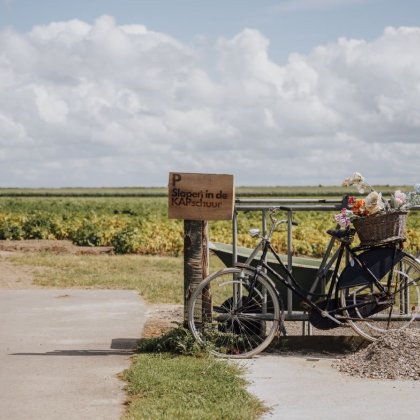 Fiets tegen hek geleund, met bloemen in de mand op de bagagedrager.