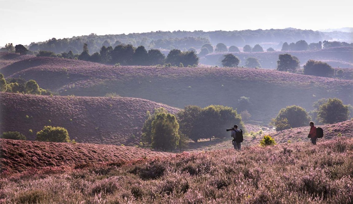 Wandelen op de Posbank bij Rheden