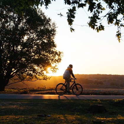 Fietser tijdens zonsondergang