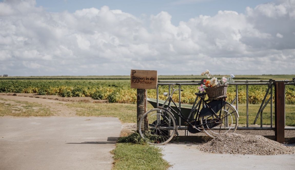 Fiets tegen hek geleund, met bloemen in de mand op de bagagedrager. Fiets tegen hek geleund, met bloemen in de mand op de bagagedrager.