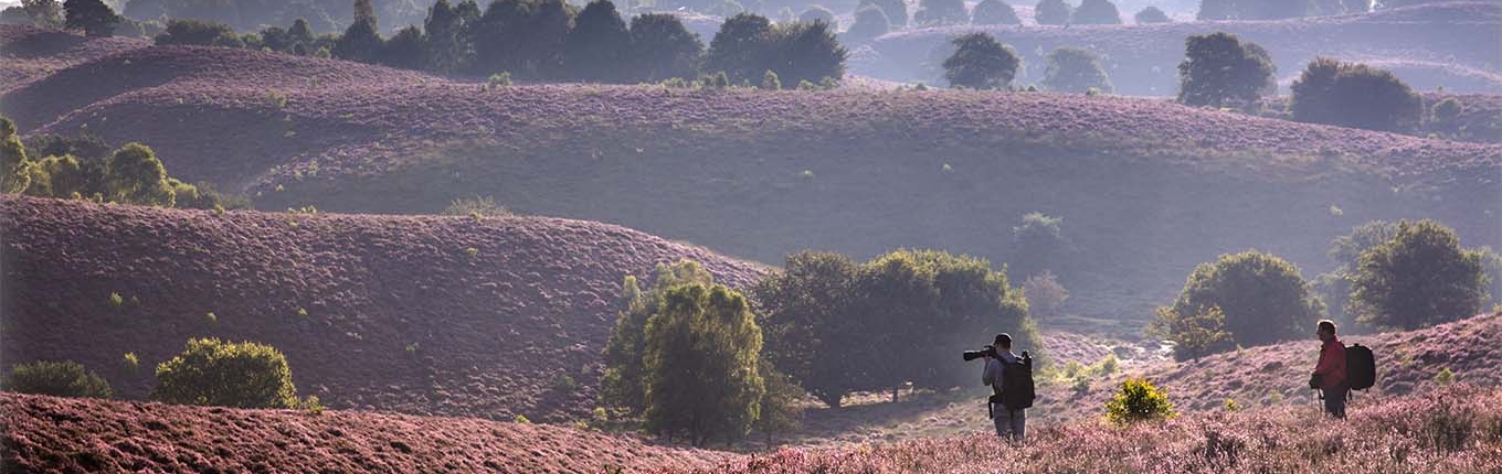 Wandelen op de Posbank bij Rheden