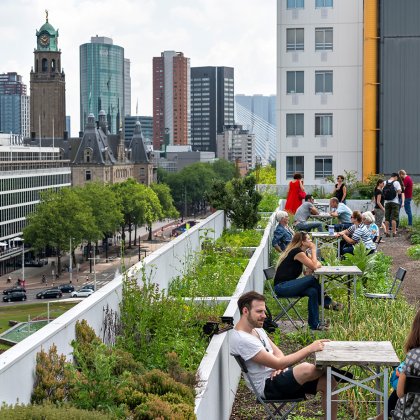 Daktuin dagen Rotterdam eerste oogst